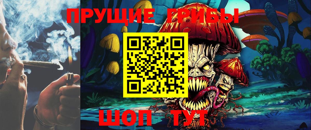 Лыткарино  Галлюциногенные грибы Psilocybe  Галлюциногенные грибы Psilocybe  Вход с VPN 
